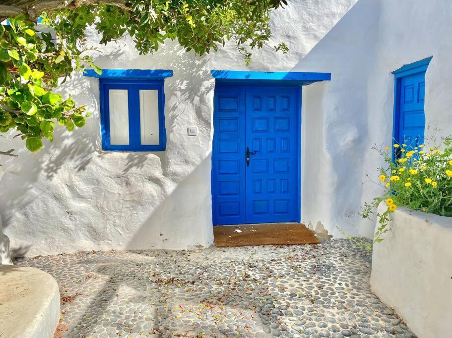 Villa Ocean View Pedro Barba 外观 照片